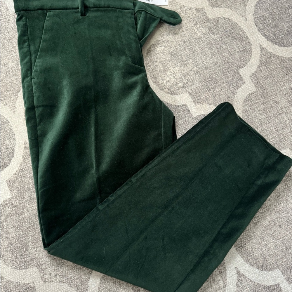 NWT Loft Riviera Velvet Pants Sz 6